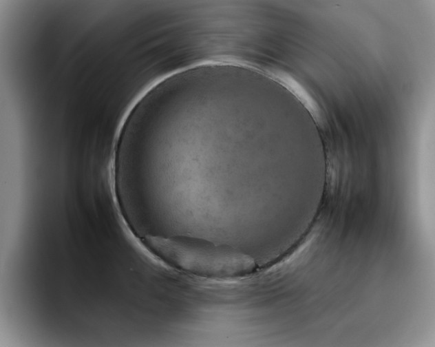 X0000092211100200709141021