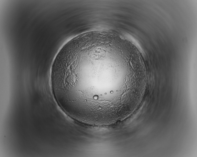 X0000092211103200709141021