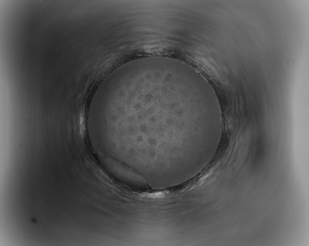 X0000092211106200709141021