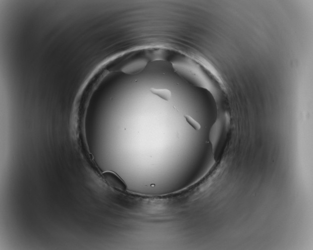 X0000092211116200709141021