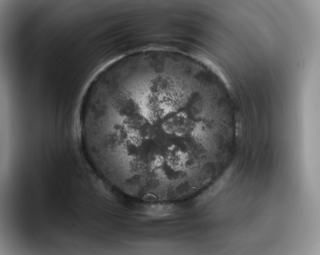 X0000092211117200709141021