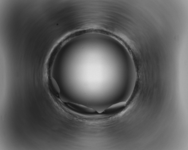 X0000092211118200709141021