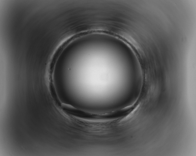 X0000092211119200709141021