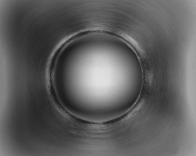 X0000092211120200709141021