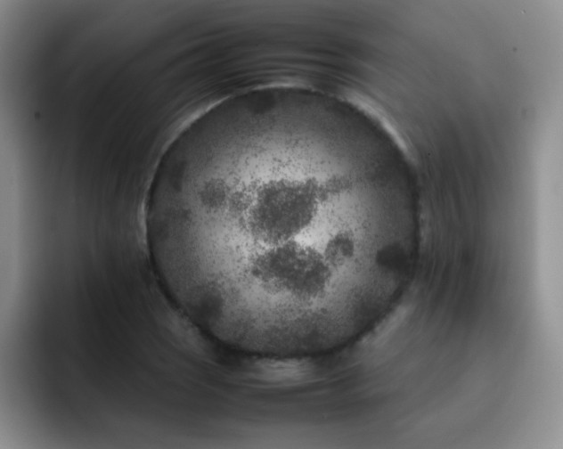 X0000092211121200709141021