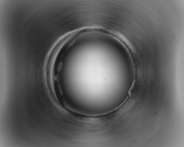 X0000092211124200709141021