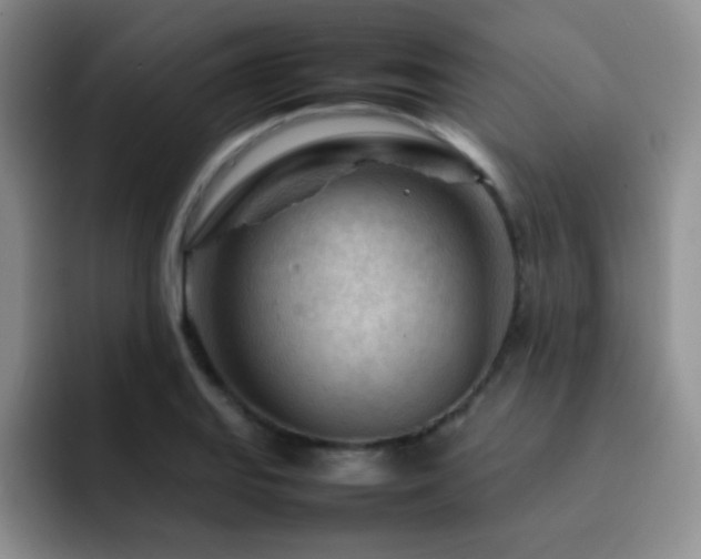 X0000092211127200709141021