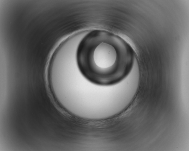 X0000092211128200709141021