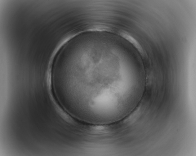 X0000092211130200709141021