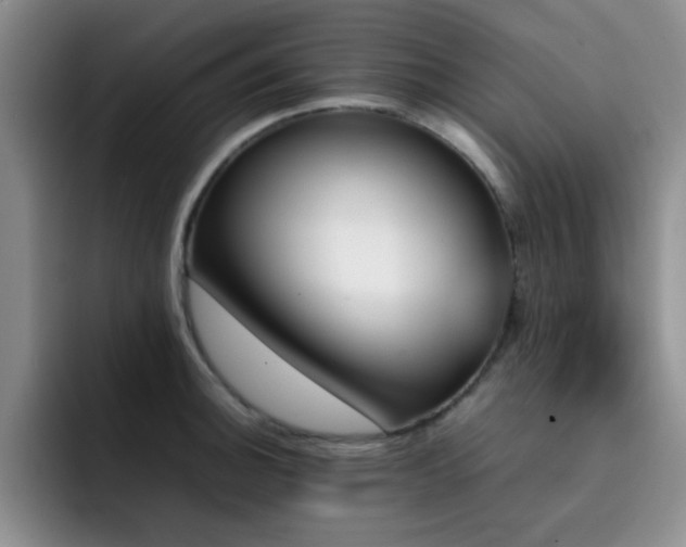 X0000092211140200709141021