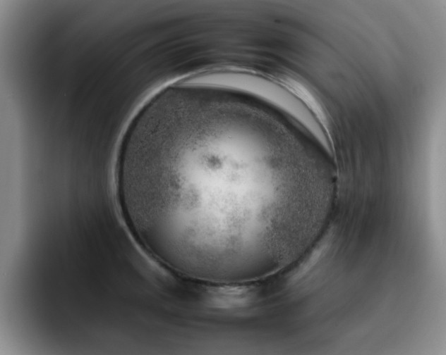 X0000092211141200709141021