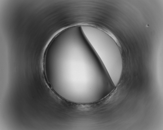 X0000092211148200709141021