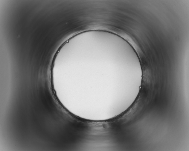 X0000092211150200709141021