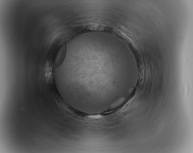 X0000092211154200709141021