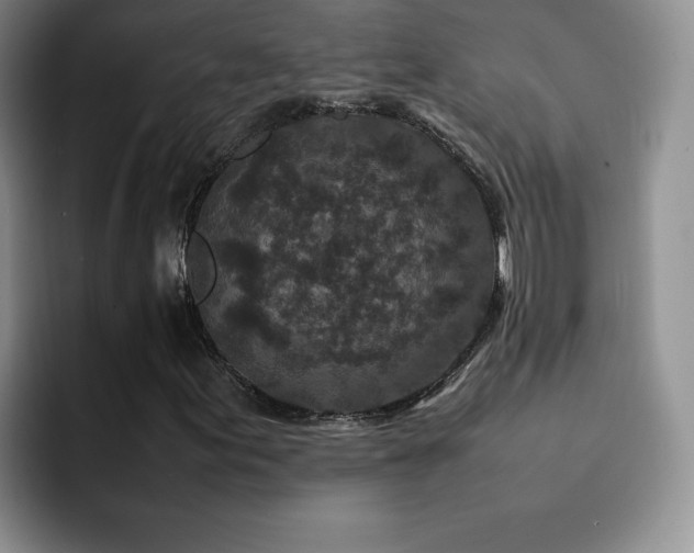 X0000092211155200709141021