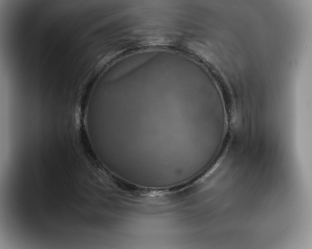 X0000092211161200709141021