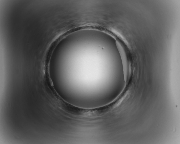 X0000092211165200709141021