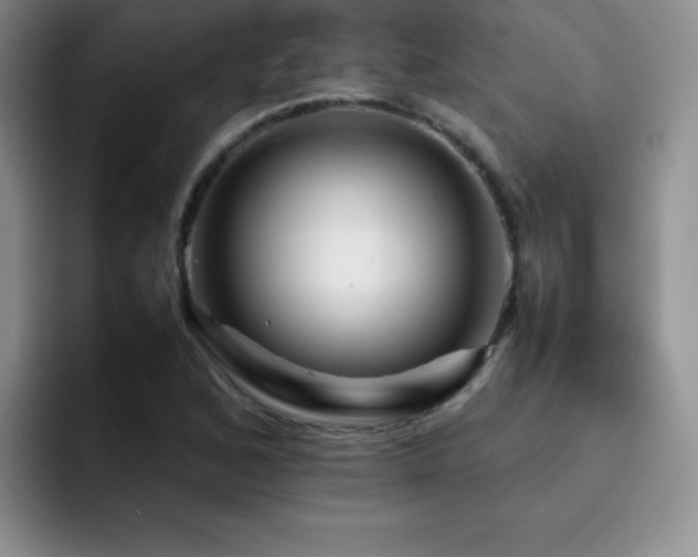 X0000092211168200709141021