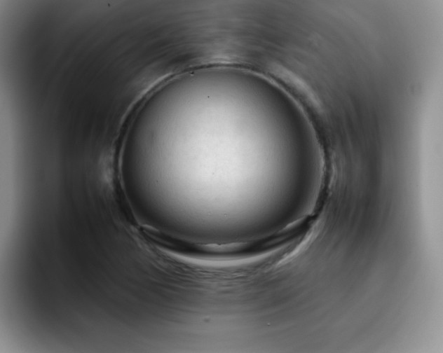 X0000092211170200709141021