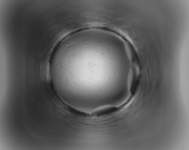 X0000092211171200709141021