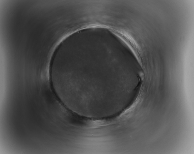 X0000092211173200709141021
