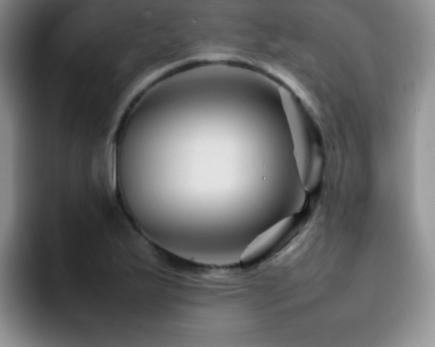 X0000092211175200709141021