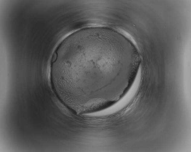 X0000092211179200709141021