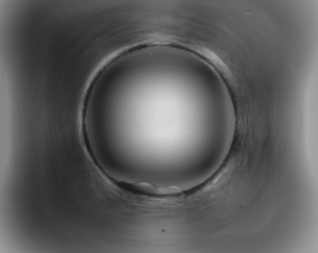 X0000092211183200709141021