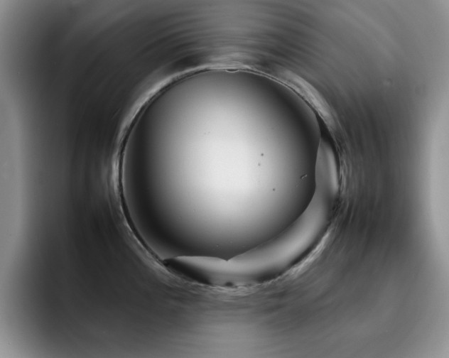 X0000092211196200709141020