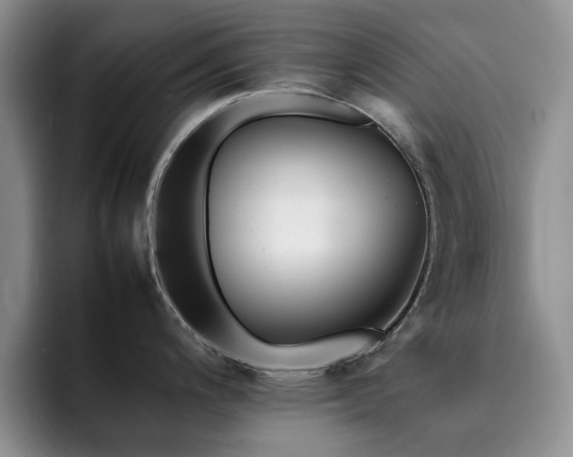X0000092211200200709141020