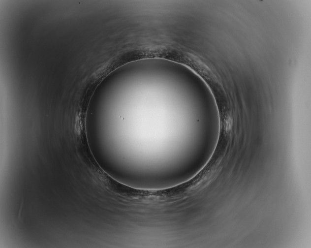 X0000092211204200709141020