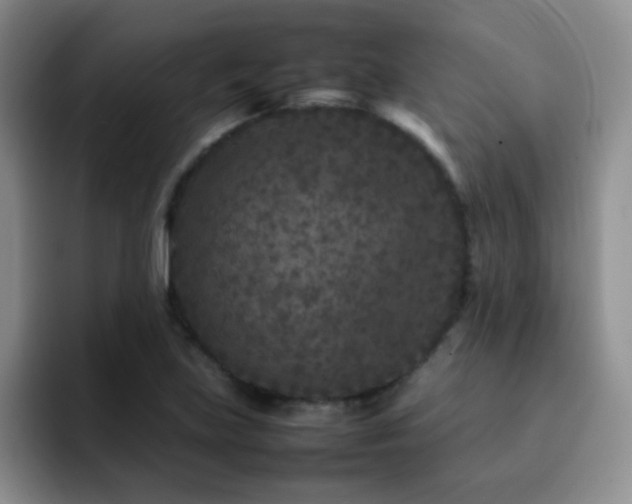 X0000092211219200709141020