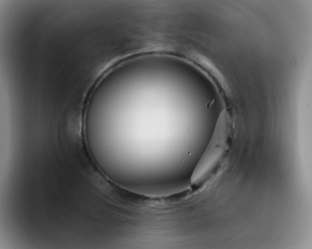 X0000092211220200709141020