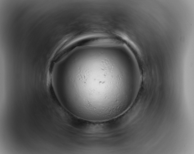 X0000092211221200709141020