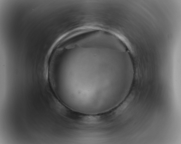 X0000092211224200709141020