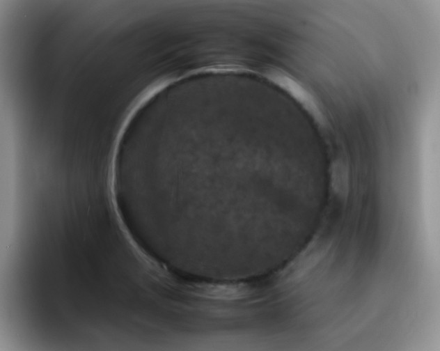 X0000092211229200709141020