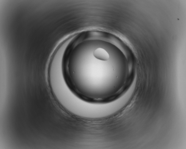 X0000092211230200709141020