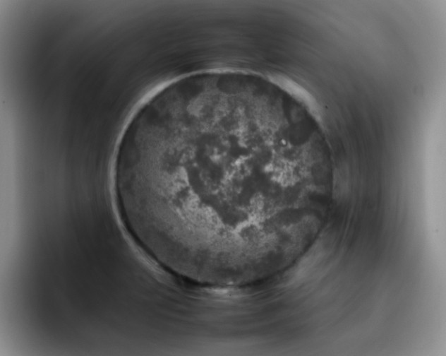 X0000092211231200709141020