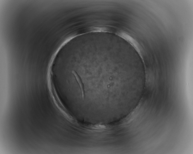 X0000092211235200709141020