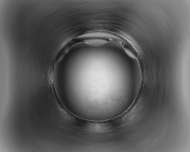 X0000092211241200709141020
