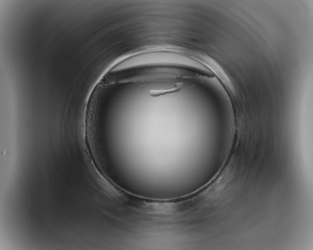 X0000092211244200709141020