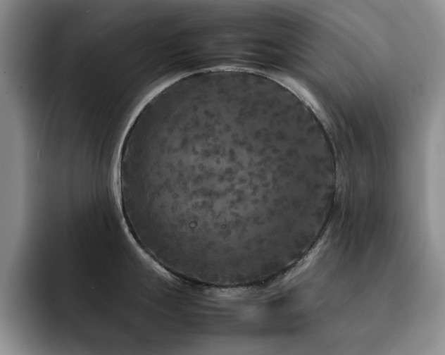 X0000092211247200709141020