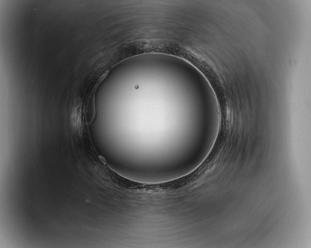 X0000092211250200709141020