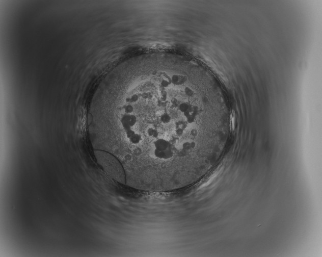 X0000092211251200709141020