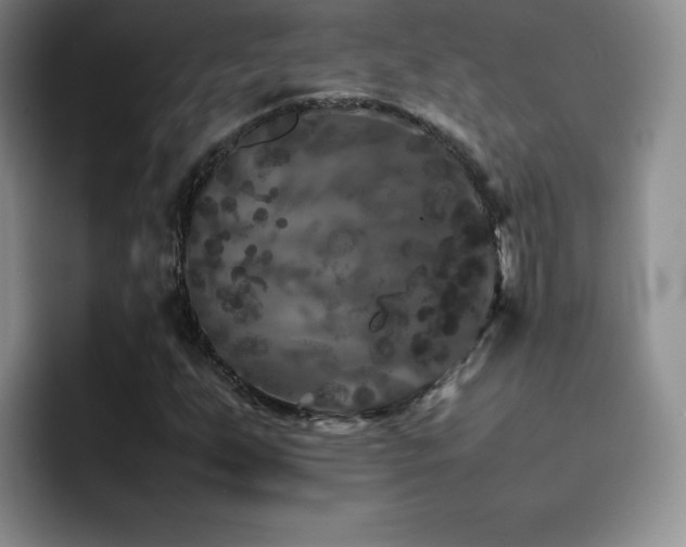 X0000092211255200709141020