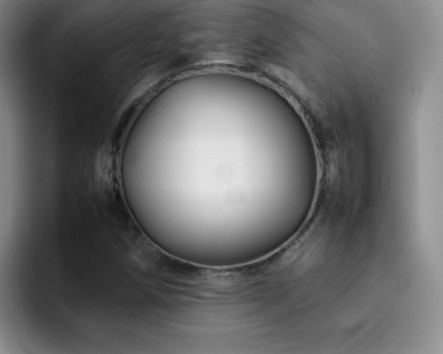 X0000092211258200709141020
