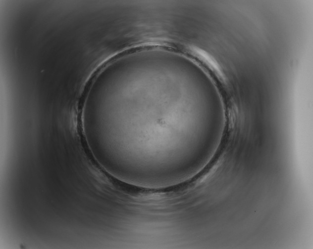 X0000092211260200709141020