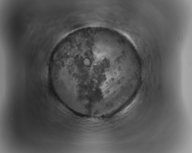 X0000092211263200709141020