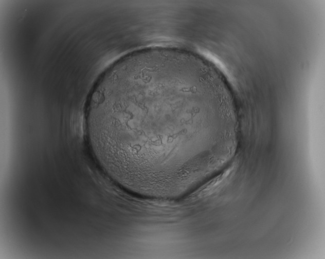 X0000092211267200709141020