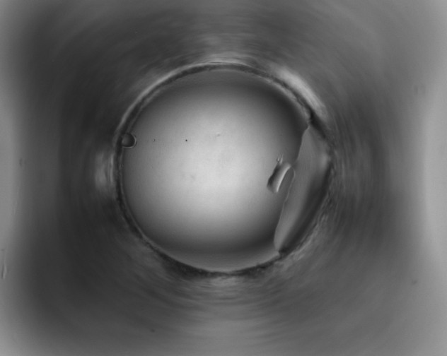 X0000092211268200709141020